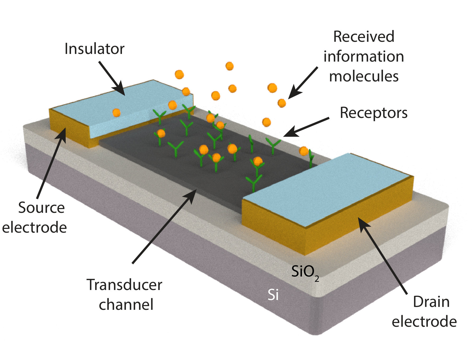 Figure 11