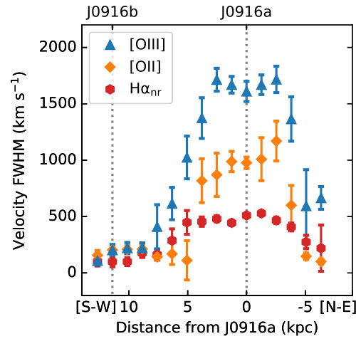 Figure 31