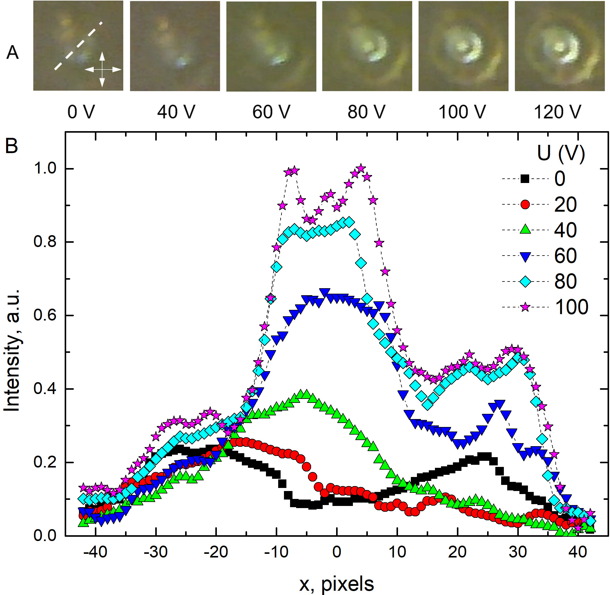 Figure 10