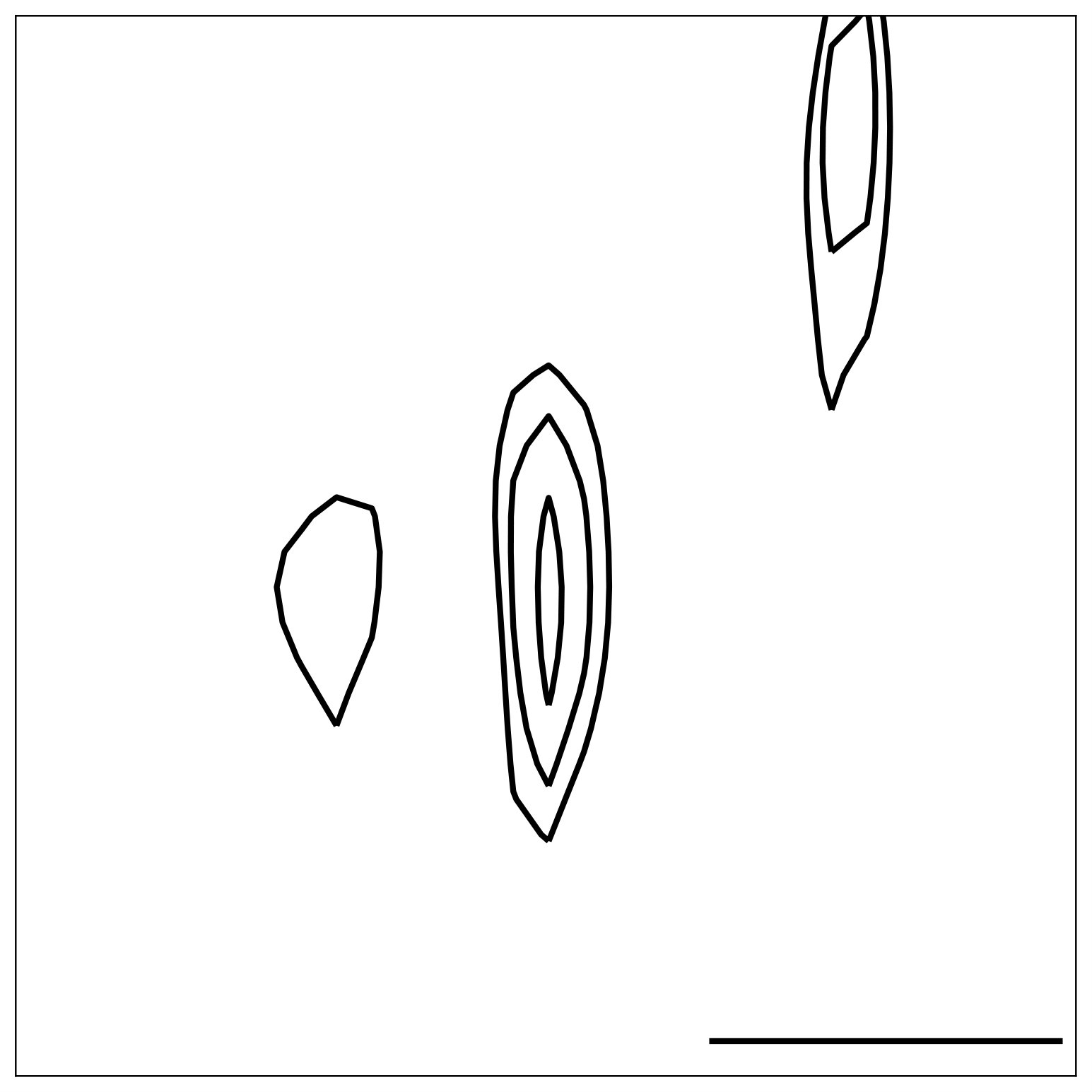 Figure 25