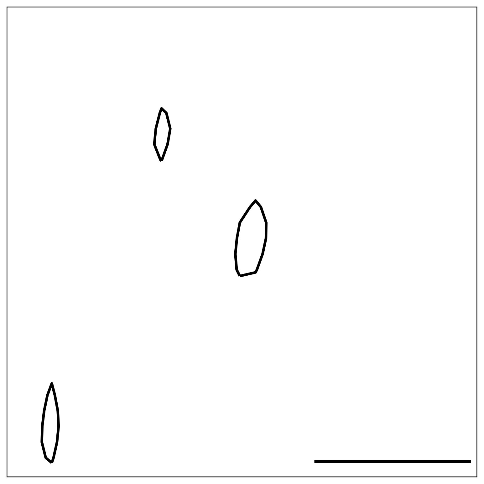 Figure 29