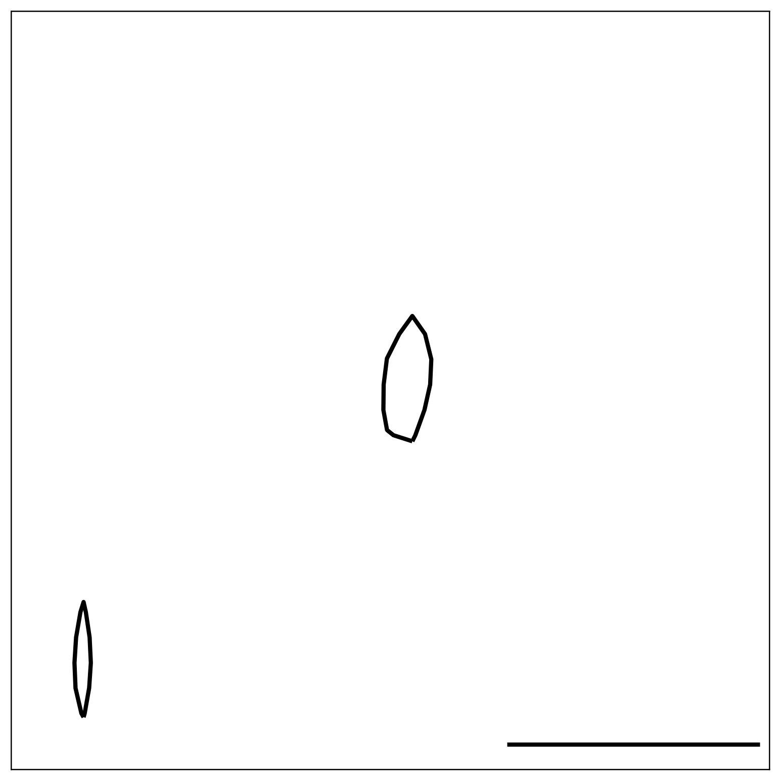 Figure 40