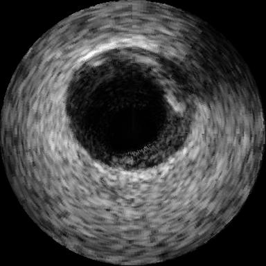 Figure 8
