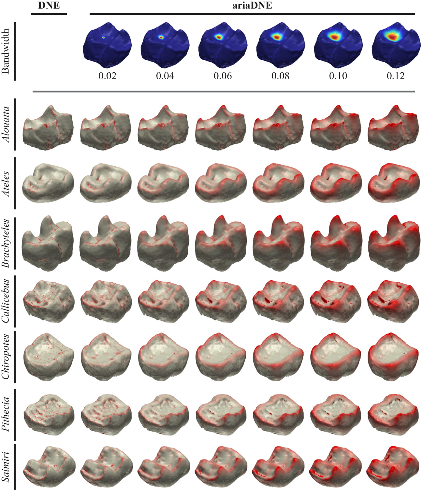 Figure 7