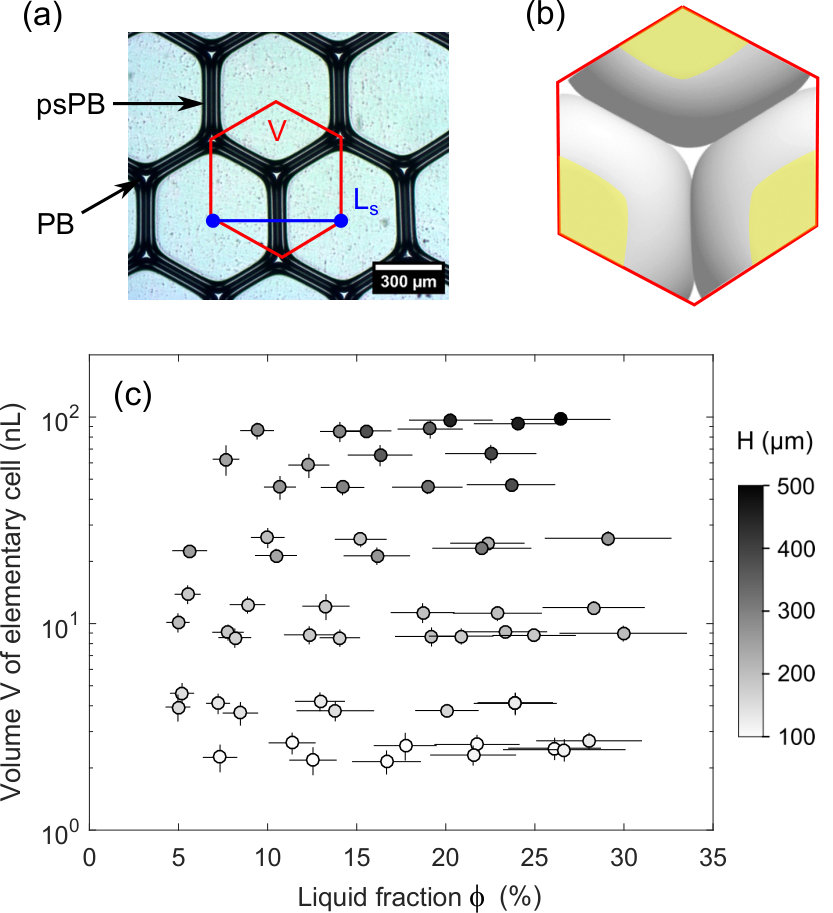 Figure 21
