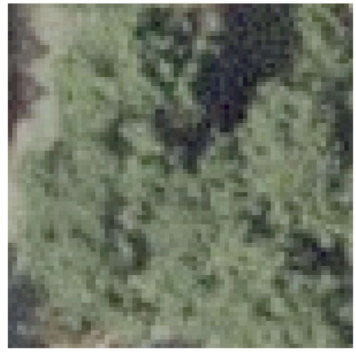 Figure 37