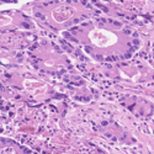 Figure 24