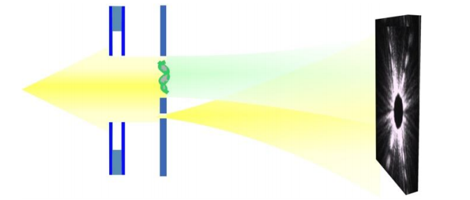Figure 8