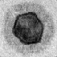 Figure 16
