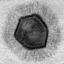 Figure 18