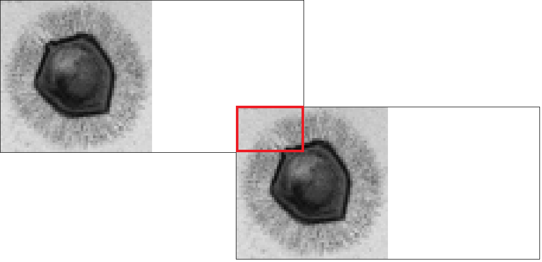 Figure 19