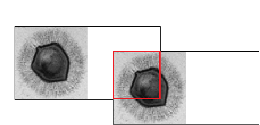 Figure 20