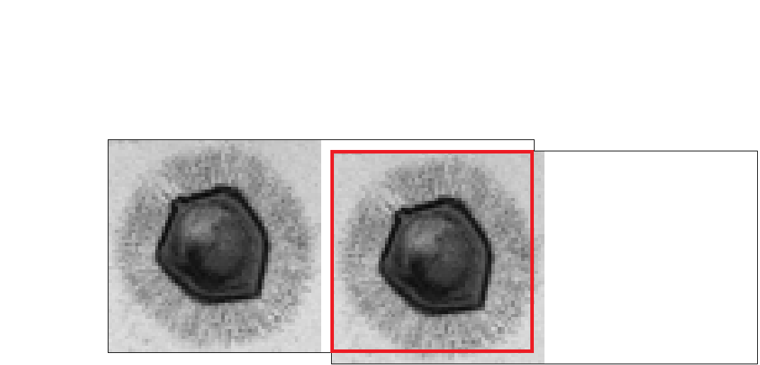 Figure 21
