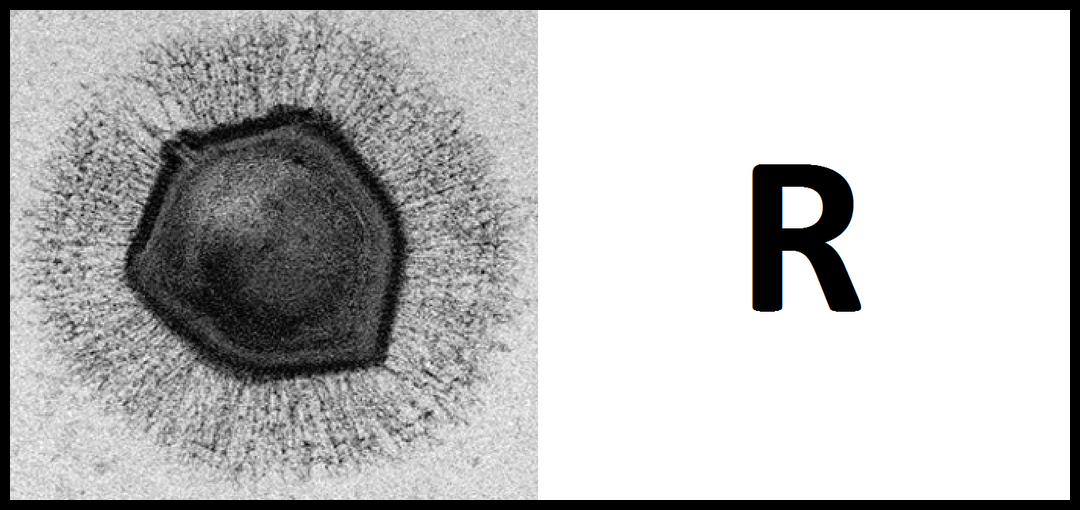 Figure 34