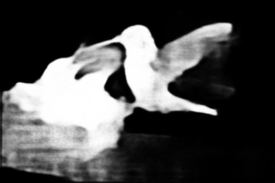 Figure 30