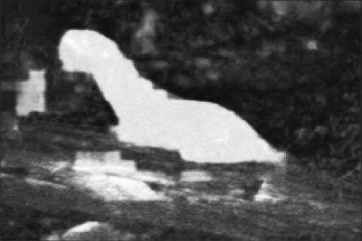 Figure 36