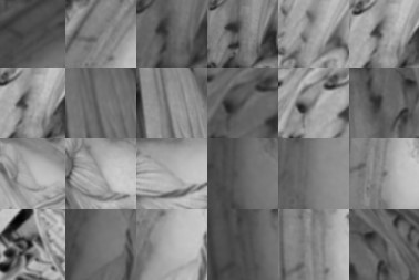 Figure 24