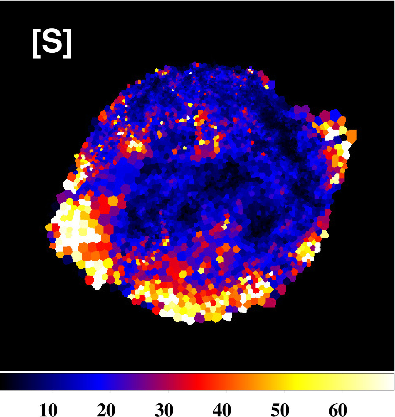 Figure 13