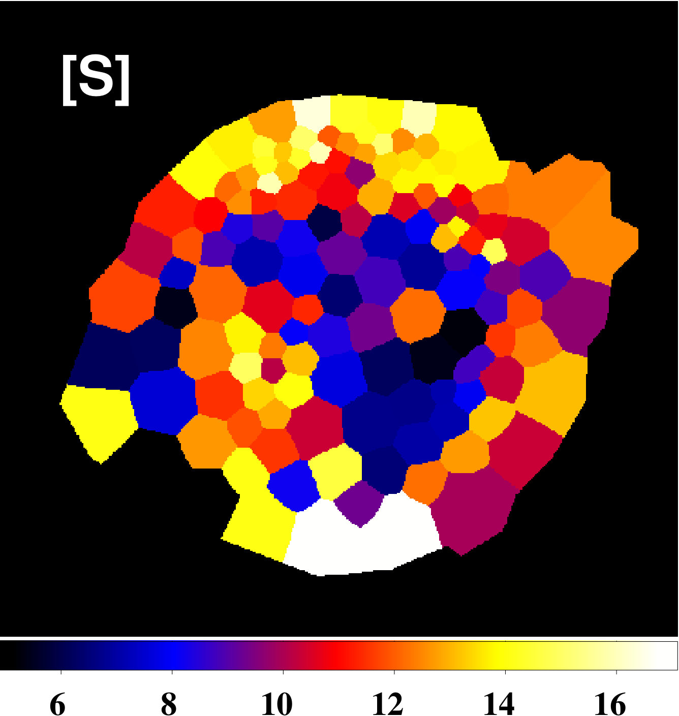 Figure 31