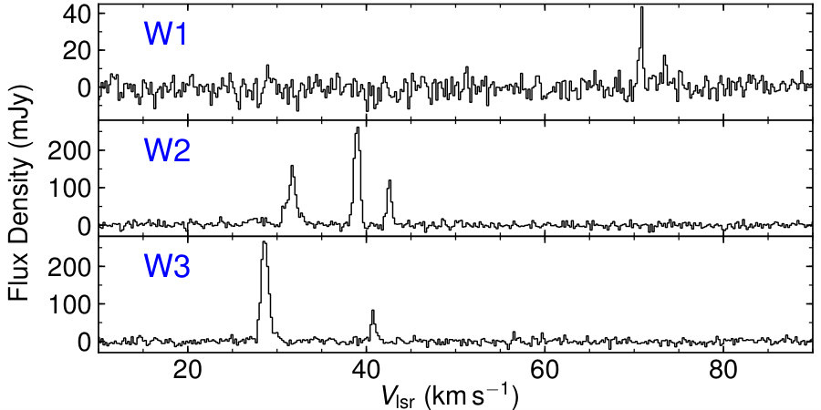 Figure 24