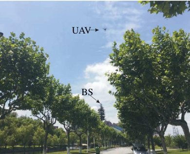 Figure 23