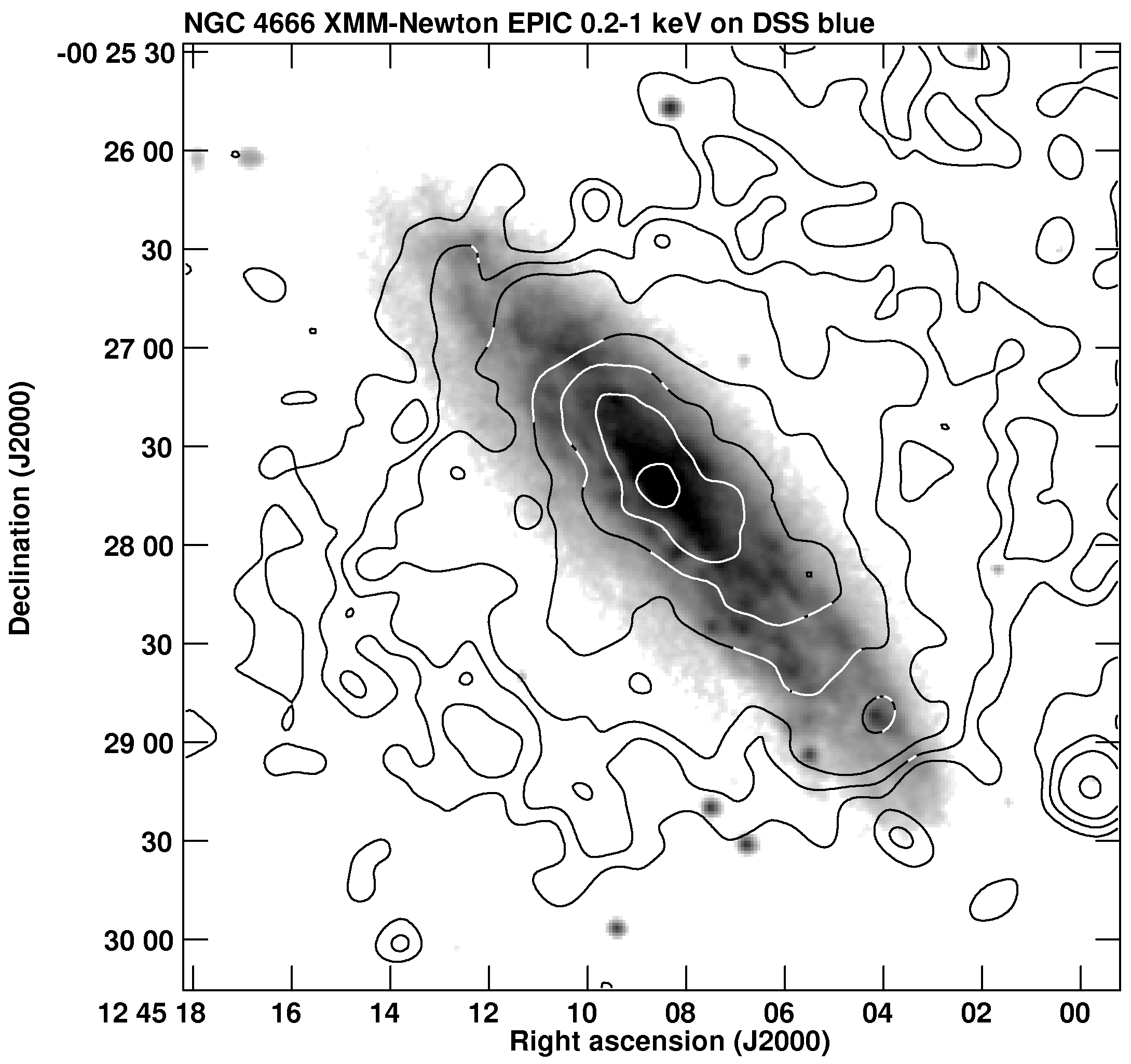 Figure 31