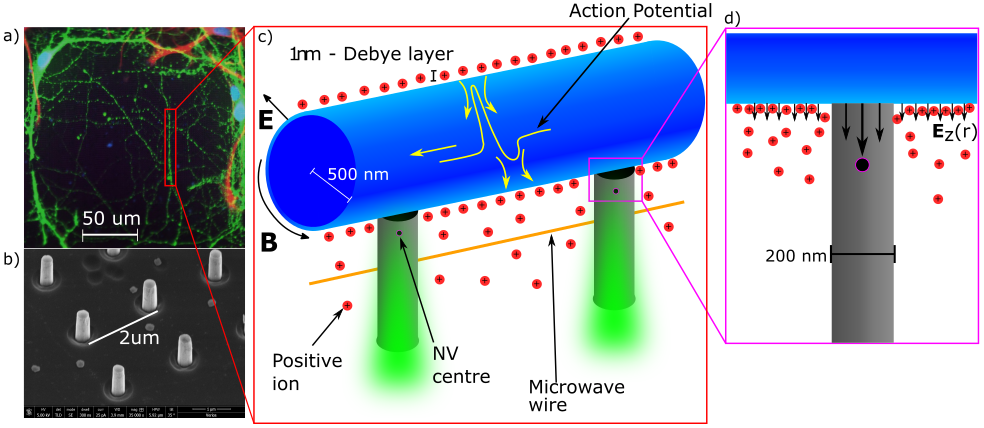 Figure 11