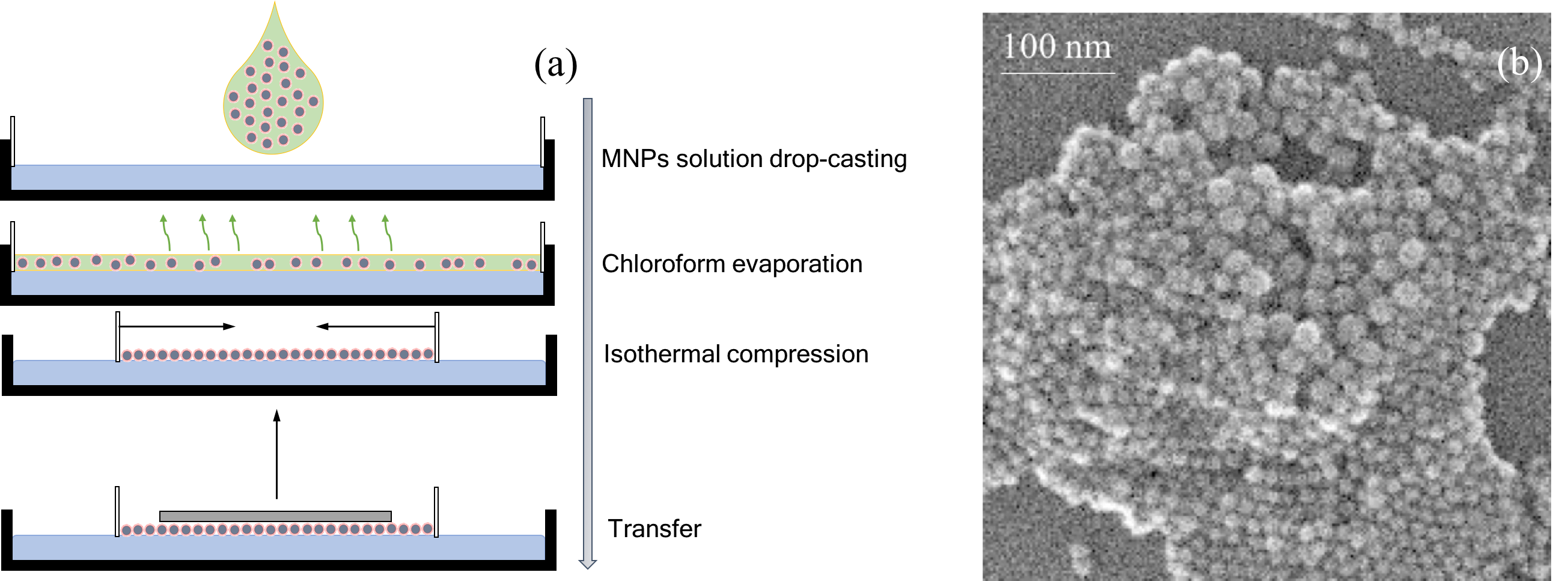Figure 17