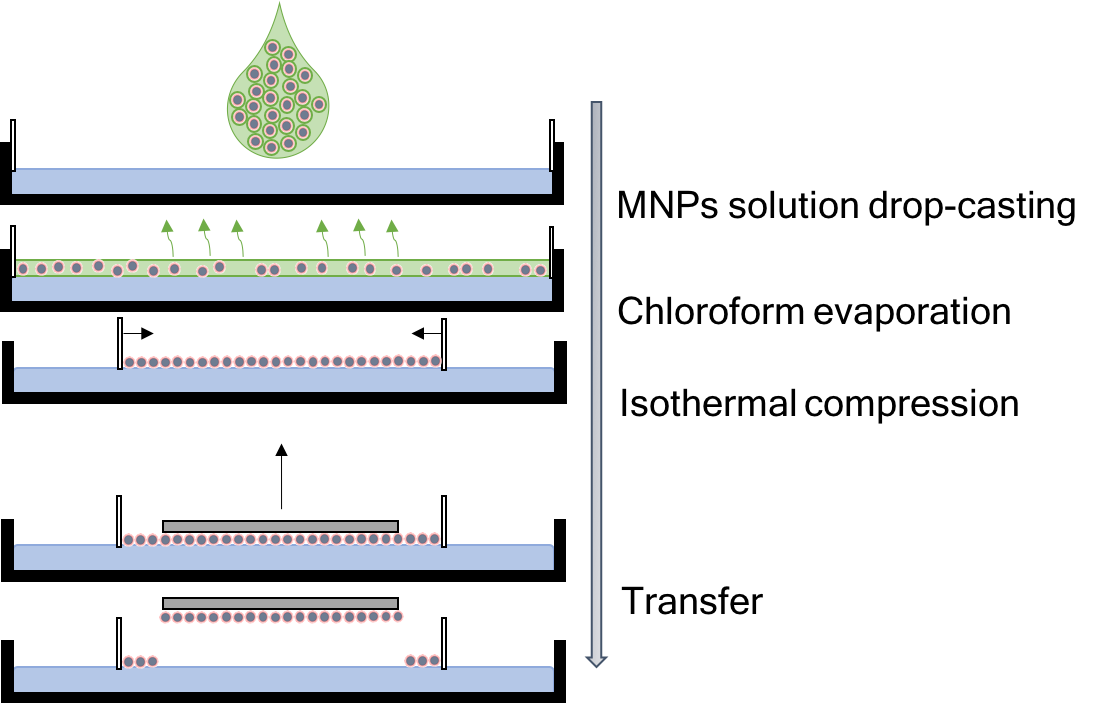 Figure 16
