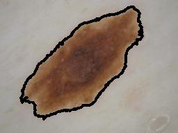 Figure 13