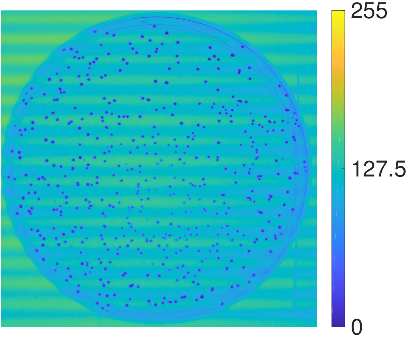 Figure 7
