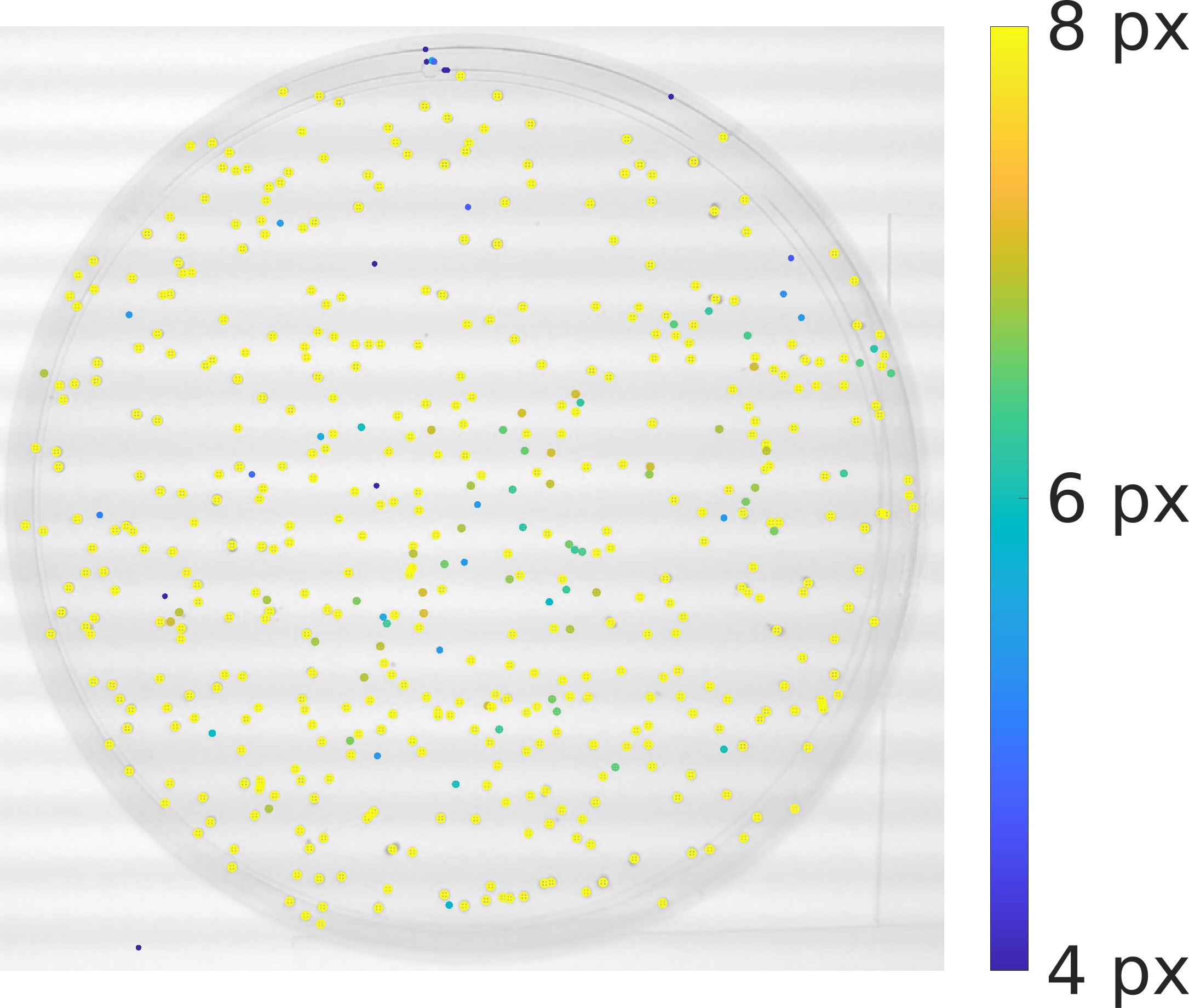 Figure 12