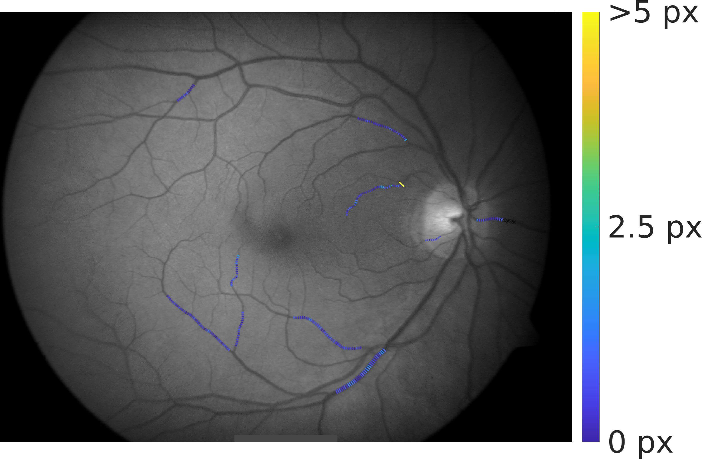 Figure 20