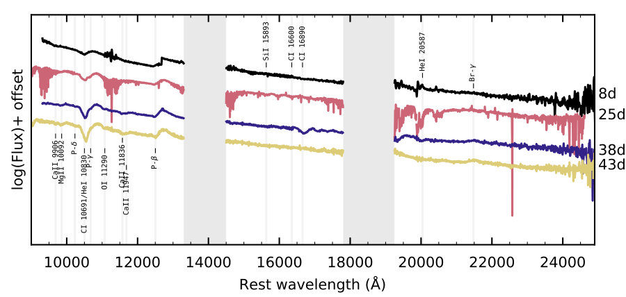 Figure 7