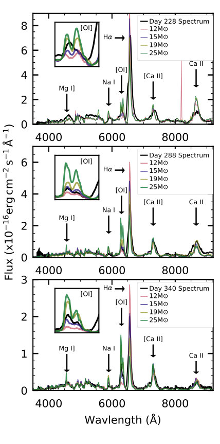 Figure 13