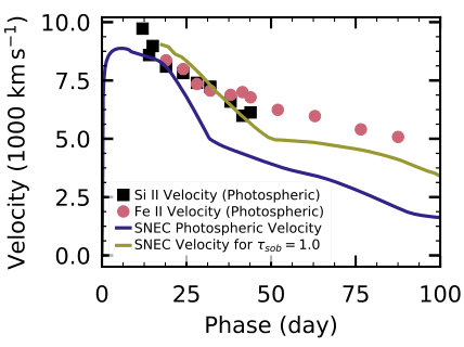 Figure 19