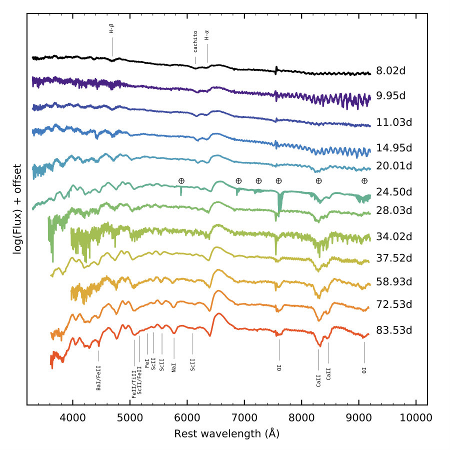 Figure 20