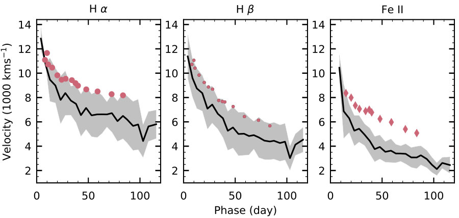 Figure 24