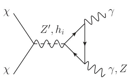 Figure 8