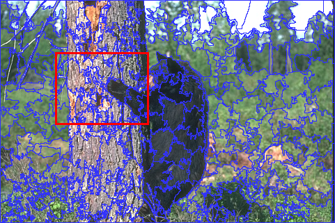 Figure 11