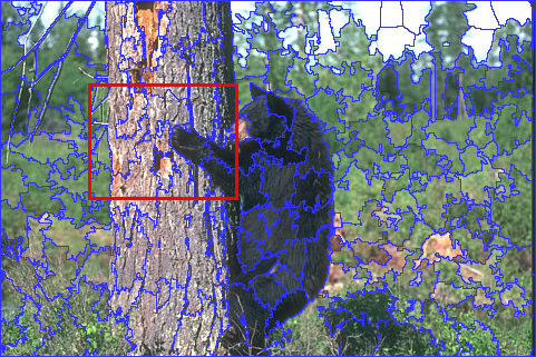 Figure 19