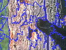 Figure 20