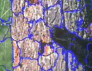 Figure 24