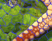 Figure 35