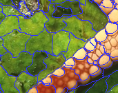 Figure 37
