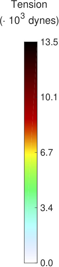Figure 20
