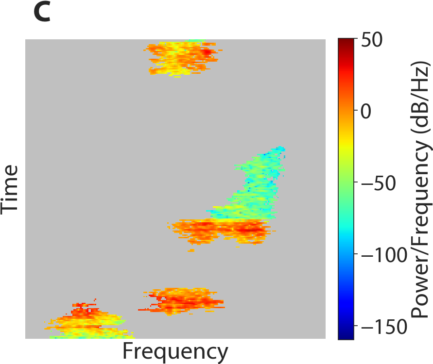 Figure 20