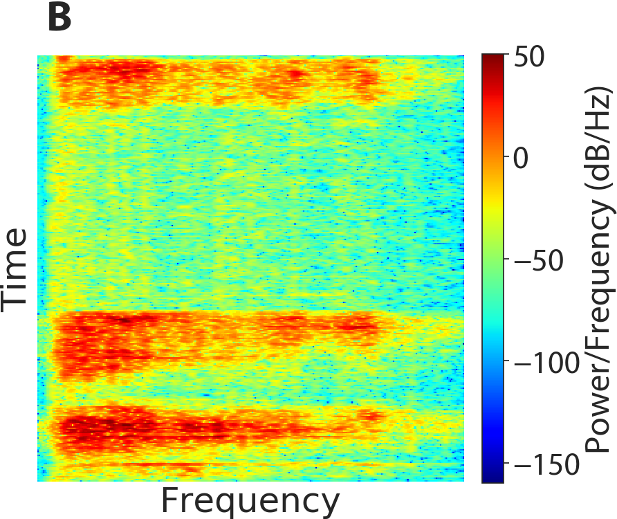 Figure 36