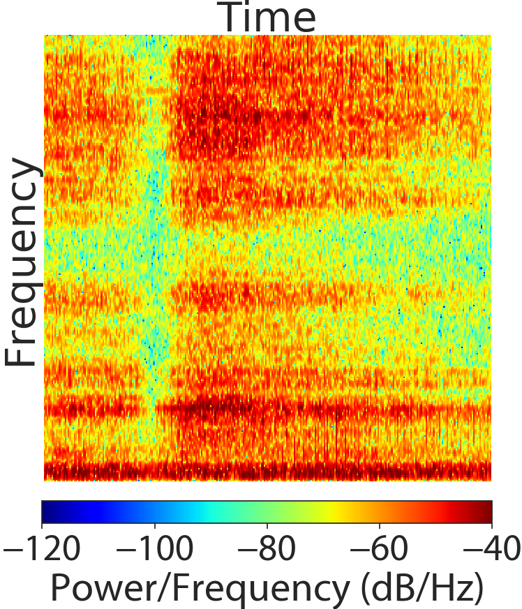 Figure 39