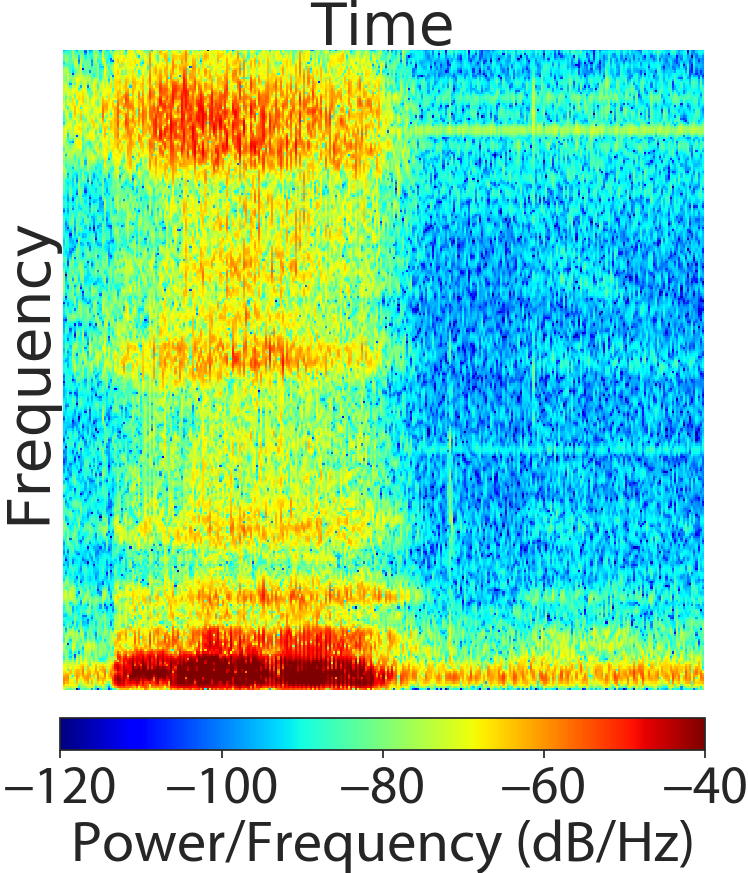 Figure 40